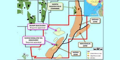 Cameroon: Tower Resources awards contract to reprocess the 3D seismic data of Thali block