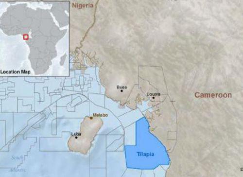 Cameroon: Noble Energy abandons Cheetah well on the Tilapia license
