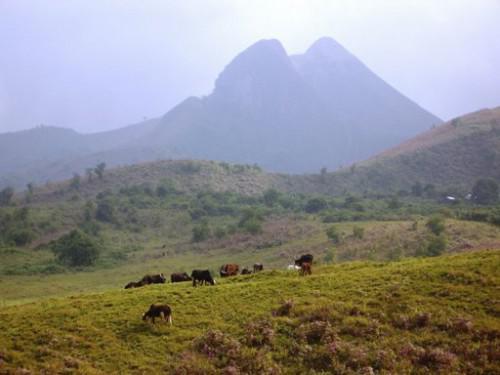 Protected areas are holding back the mining activity in northern Cameroon