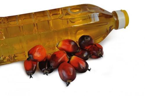 Cameroon: Refineries import 16,000 tons of palm oil to alleviate the deficit in the local production