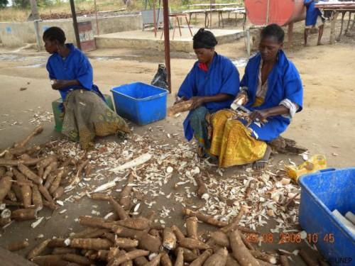 Cassava processing plant commissioned in Ngoulémakong, Southern Cameroon