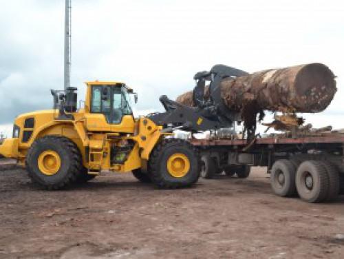 Over 2 billion FCFA in investments to ease congestion at the Douala lumber yard