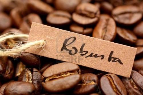 In late April 2015, Robusta prices in Cameroon remained around 1,000 FCFA per kg