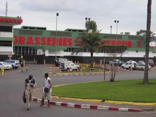 Brasseries du Cameroun makes a profit of 24.7 billion FCFA in 2014