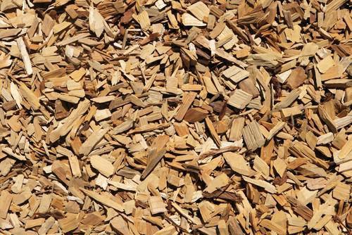 Biomass Cameroon strengthens equity, in preparation for wood shaving fuel production project