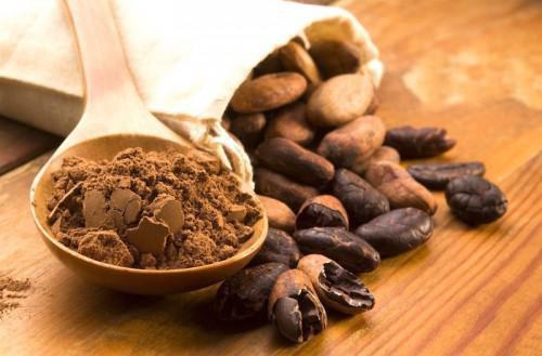 Cameroon inaugurated its first three post-harvest cocoa processing centers of excellence