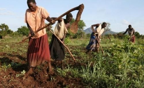 Cameroon wants to invest 3.35 billion FCfa in agriculture for the period 2014-2020