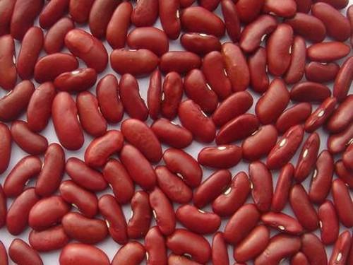 Cameroon develops five new varieties of more nutritious beans designed for various soil types