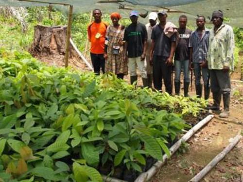 Cameroon: Tayap agricultural project could one day be expanded to Central Africa