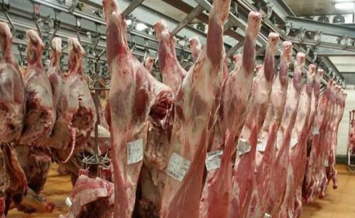 Cameroon: Modern slaughterhouse and cold-storage warehouse of 1,400 m3 will be commissioned in Ngaoundéré in August 2017