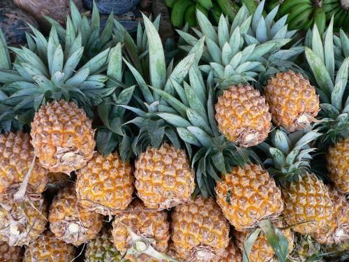 Cameroon: two new agricultural plants or agropoles to produce and process potatoes and pineapple