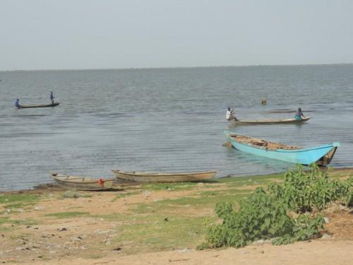 Fishing season open on the Maga Lake, in northern Cameroon