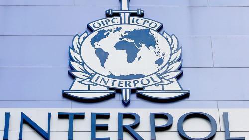 Interpol has decided to coordinate its efforts with member states of Central and West Africa to fight terrorism in the region