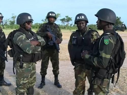 Cameroonian army thwart Boko Haram attack, killing more than 20 rebels