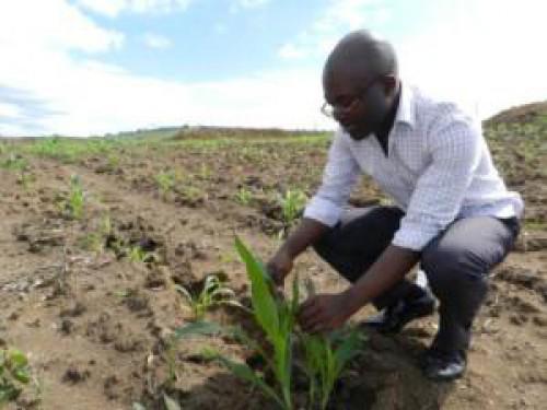 Cameroon: PAIJA develops 3,300 hectares of land for young farmers