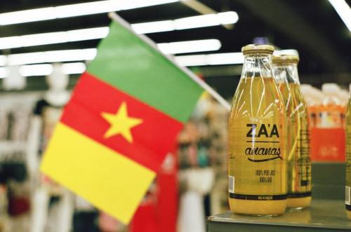 568 products made in Cameroon were eligible for CEMAC’s preferential tariff regime in the last 4 years