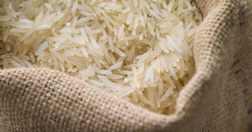 Cameroon develops 37 varieties of rice through a cooperation with South Korea