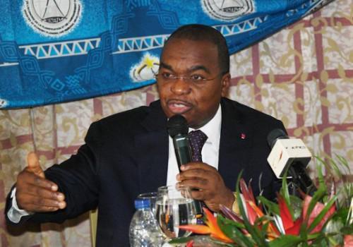 Cameroon: an economic conference to attempt to raise FCfa 1,000 billion to finance 15 projects