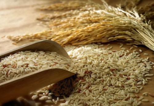 With production of 300 tons a year, Cameroonian brand, "Logone rice" attempts breakthrough on local and Chadian markets