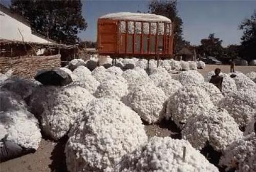 Cameroon: A Franco-Cameroonian partnership to develop cotton sector
