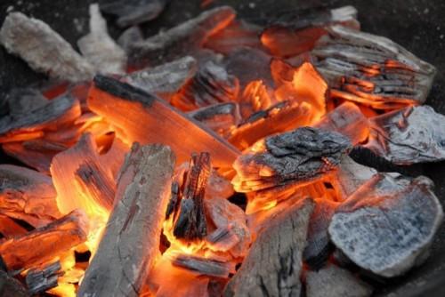 Though at a budding stage, the charcoal market in Cameroon is worth FCfa 17 billion, according to the Ministry of Forestry
