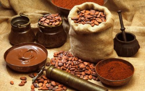Cameroon: SNV brings cocoa processing to Ayos farmers