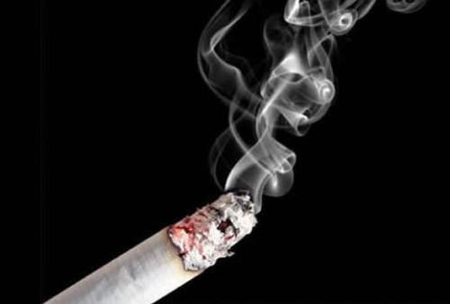 The Cameroonian Anti-Tobacco Coalition accuses industrialists of trampling on laws governing publicity