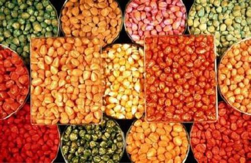 Poor quality improved maize seeds available in Cameroon 