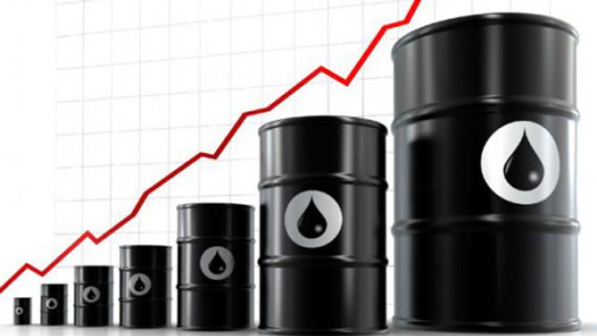 Cameroon may readjust its 2015 budget facing the fall in crude oil prices 