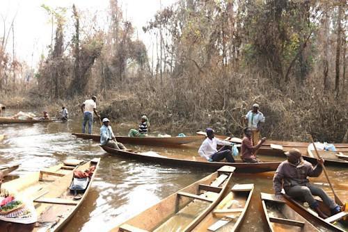 Cameroon : onslought of more than 6000 fishermen on fish-filled waters of Lom Pangar dam