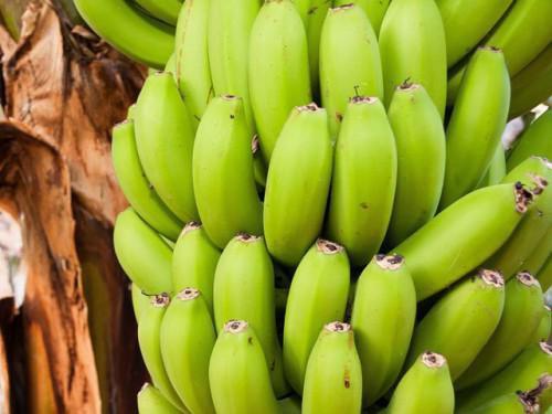 Boh Plantations,  the minnow in the banana market in Cameroon, boosts national exports at end May 2017