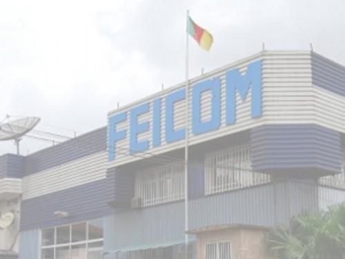 Feicom handed 63 billion FCFA to Cameroonian municipalities in 2013