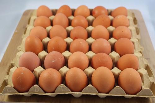 300 egg crates from the Western region and going to Yaoundé seized and destroyed by public authorities