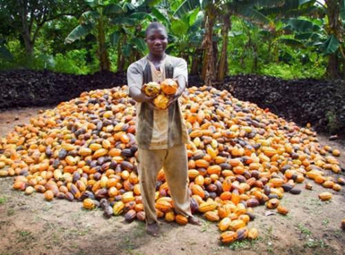 Among the world’s top cocoa producers, Cameroon processes the least