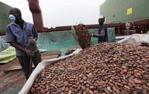 South Cameroon’s Meyomessala municipality takes on cocoa processing