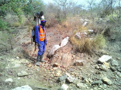 Cameroon: Reservoir Minerals finds 30 km of gold mineralisation in Bibemi