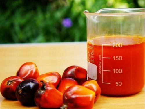 Cameroon: Locally produced raw palm oil now available in supermarkets