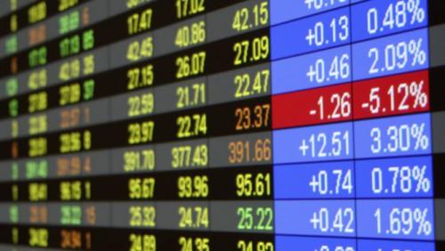 IFC loan on the Douala Stock Exchange comes to a close with mixed results