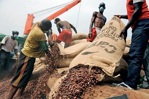 Cameroonian cocoa exports up by 19% despite difficulties at the port of Douala