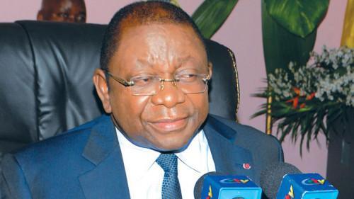 Cameroon: Import spending reached XAF9,634bln between 2015 and 2017, double the 2019 State budget