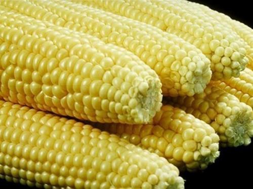Cameroon: Corn demand and supply forecasted at 2.8 million tons and 2.2 million, respectively, in 2019  