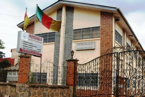 Cameroon: Coronavirus forces over CFAF500 mln reduction in the budget of local materials’ promotion agency Mipromalo