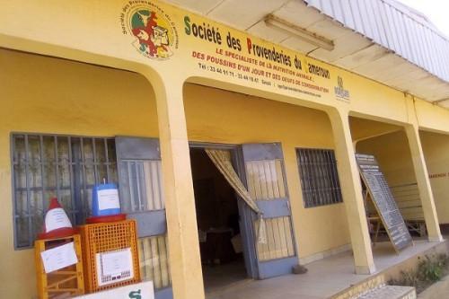 Animal feed producer SPC to invest XAF5 bln to extend activities to Yaoundé and Obala