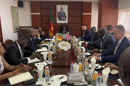 Cameroon welcomes a delegation of British investors