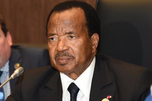 Camair-Co: Paul Biya instructs quick operation resumption and a shift to domestic flights