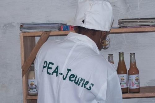 Cameroon: Agricultural program Pea-Jeune claims over 14,000 jobs created in 8 years