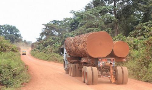 Timber: Cameroon to start collecting weighbridges’ maintenance fees