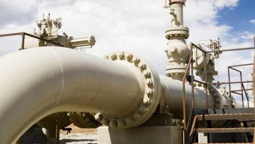 Chad-Cameroon pipeline: Chad initiated no negotiations for the sales of its 21% stake, SHT’s boss says