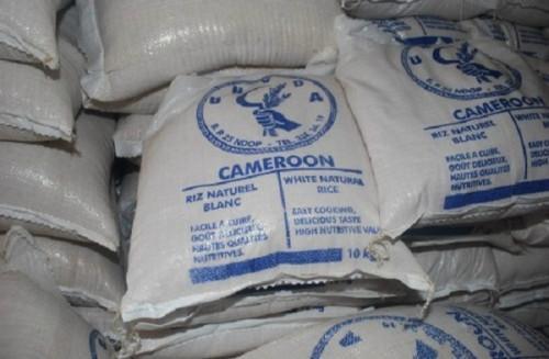Cameroon: National cereals board estimates current storage capacity at 47,650 tons