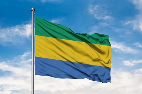 2023 bond issue: Gabon tops Cameroon’s foreign investor list with XAF22.2bln in subscriptions
